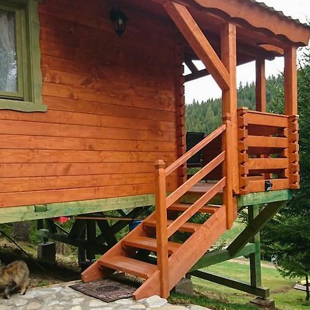 Cabana Casa Craita Zărneşti Zewnętrze zdjęcie