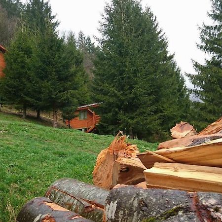 Cabana Casa Craita Zărneşti Zewnętrze zdjęcie