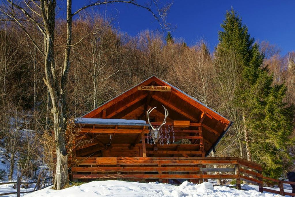 Cabana Casa Craita Zărneşti Pokój zdjęcie