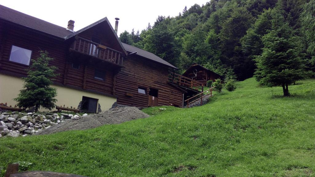 Cabana Casa Craita Zărneşti Zewnętrze zdjęcie