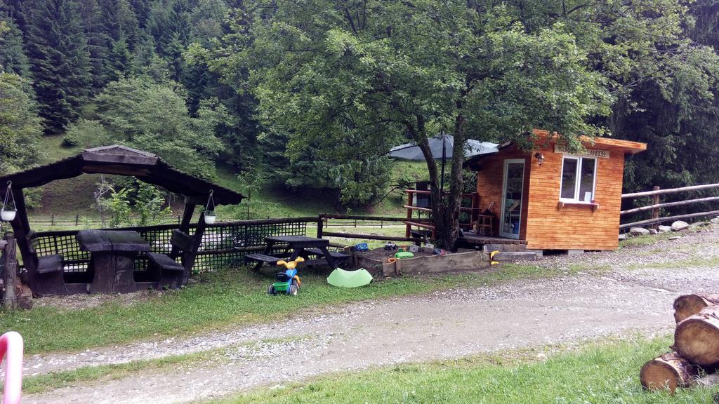 Cabana Casa Craita Zărneşti Zewnętrze zdjęcie