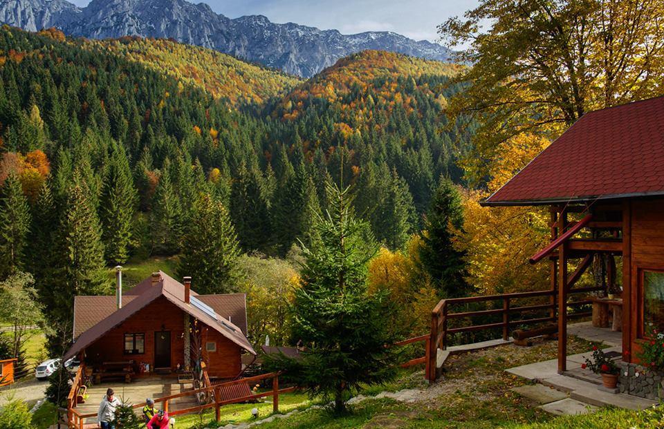 Cabana Casa Craita Zărneşti Zewnętrze zdjęcie