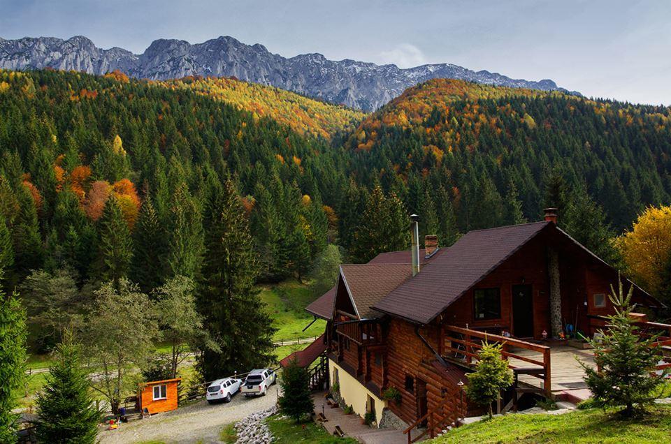 Cabana Casa Craita Zărneşti Zewnętrze zdjęcie