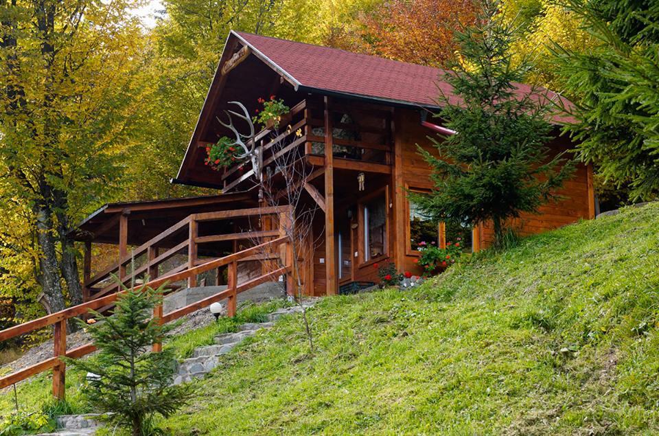 Cabana Casa Craita Zărneşti Zewnętrze zdjęcie