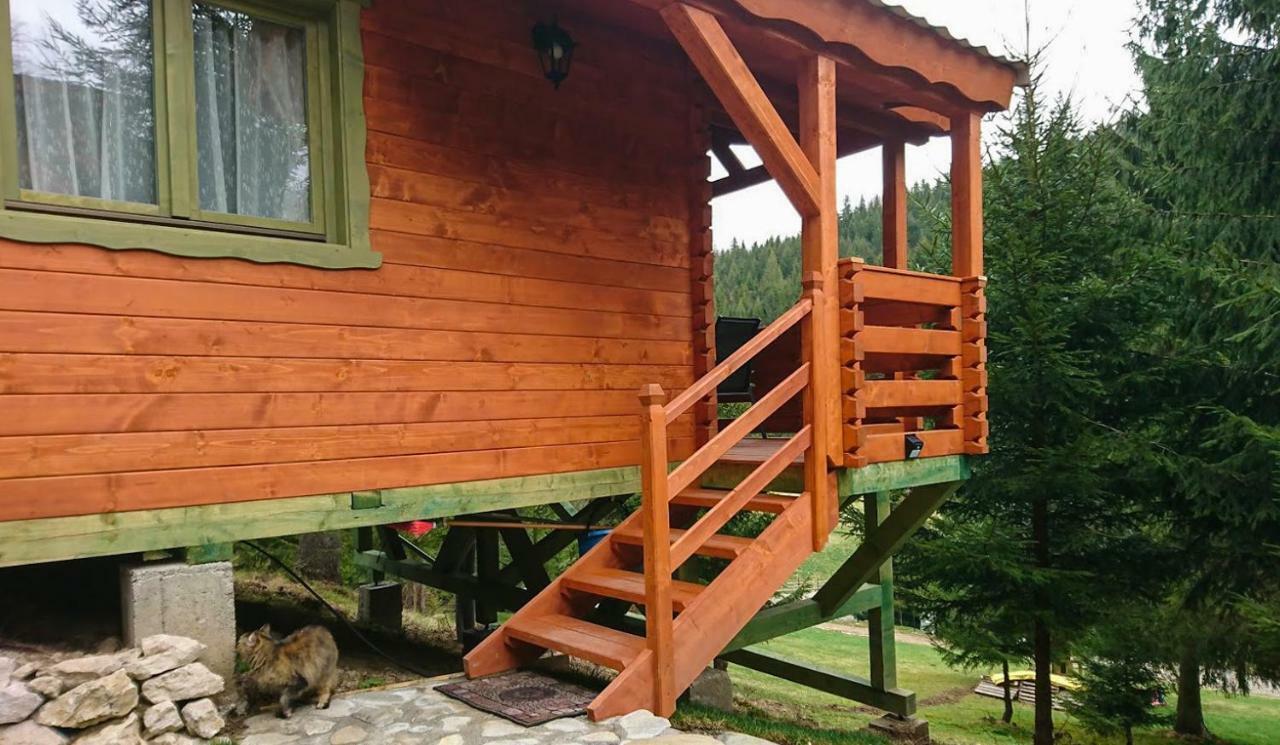 Cabana Casa Craita Zărneşti Zewnętrze zdjęcie
