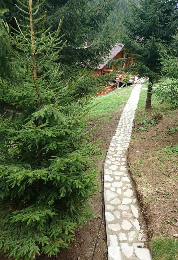 Cabana Casa Craita Zărneşti Zewnętrze zdjęcie
