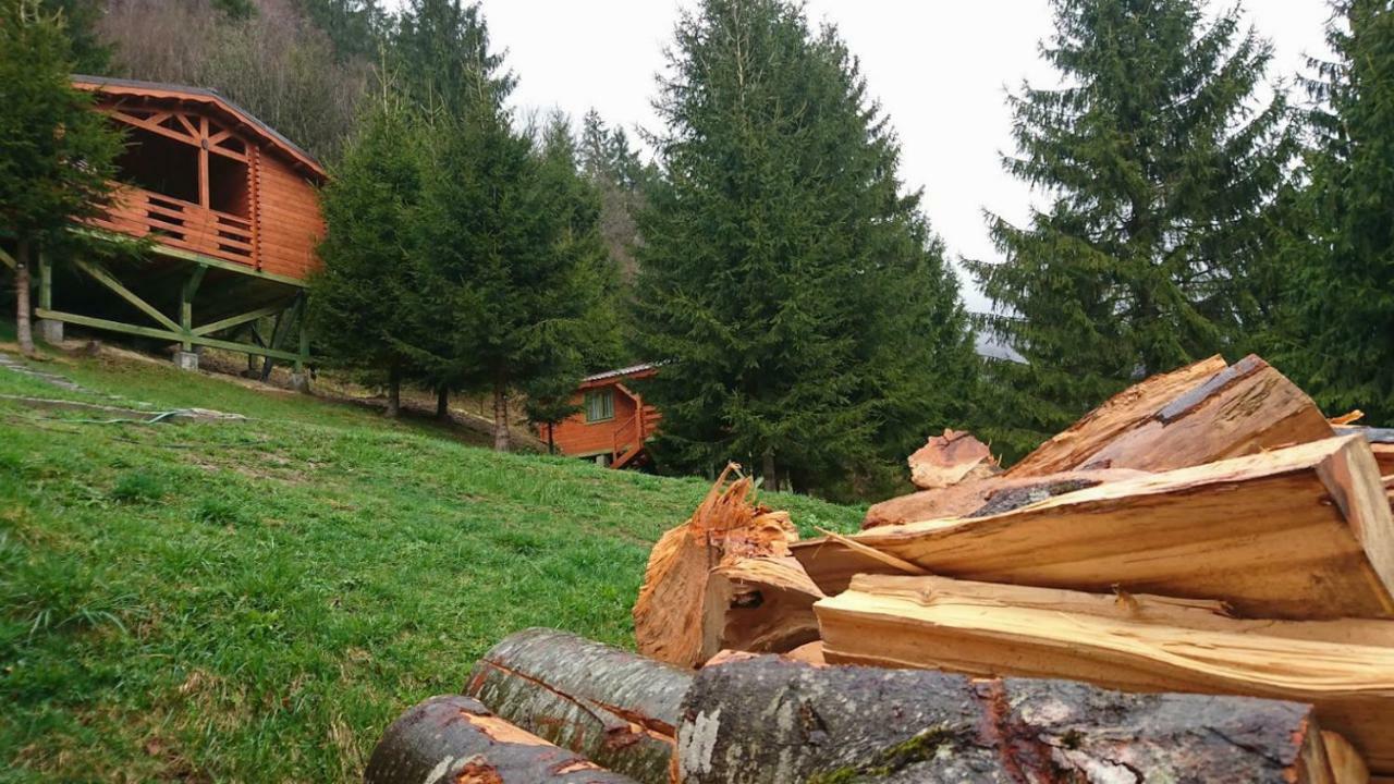 Cabana Casa Craita Zărneşti Zewnętrze zdjęcie