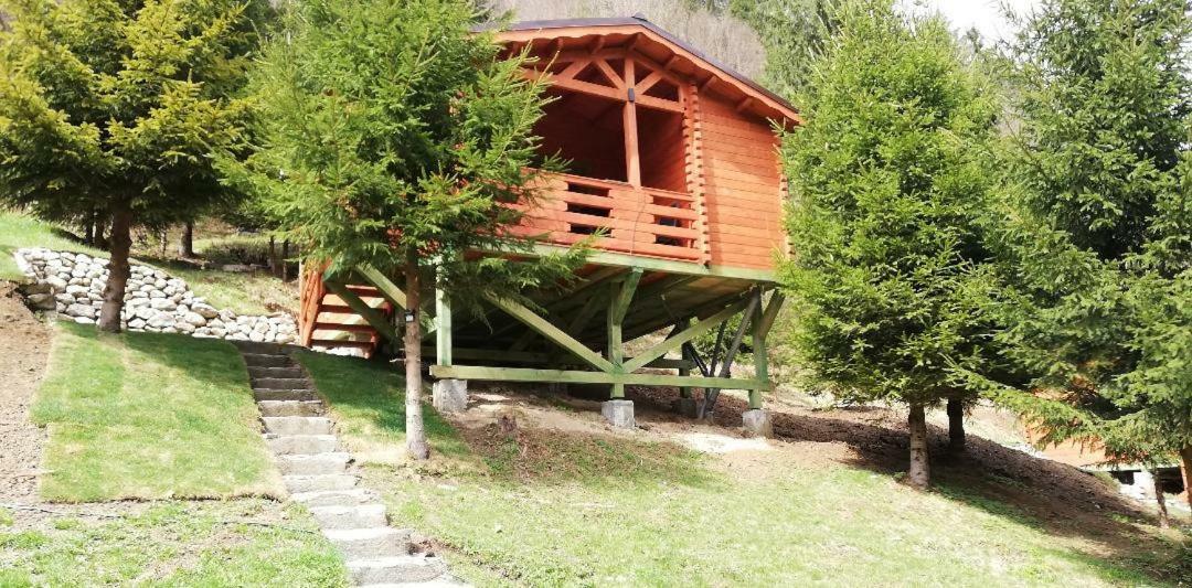 Cabana Casa Craita Zărneşti Zewnętrze zdjęcie